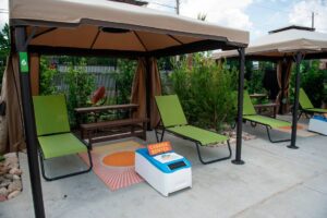 20240606 serengetisprings 007