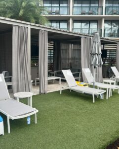 449305311 18436215190055984 2459141257322495616 n