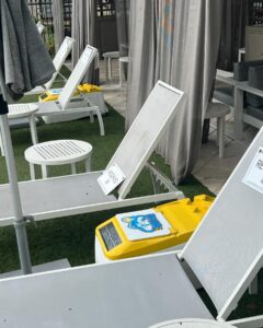 449497248 18436215241055984 8610339126113105068 n