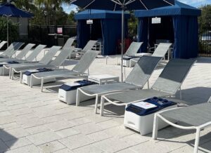 The Grove 6 e1770053262805