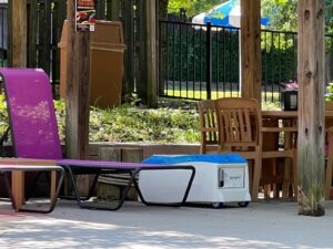 original 3D5C9B15 2025 49AC B78F CE99DFC2383B