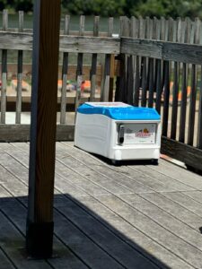 original C301EFFE 8B5E 4C1E 8382 58132AF74440